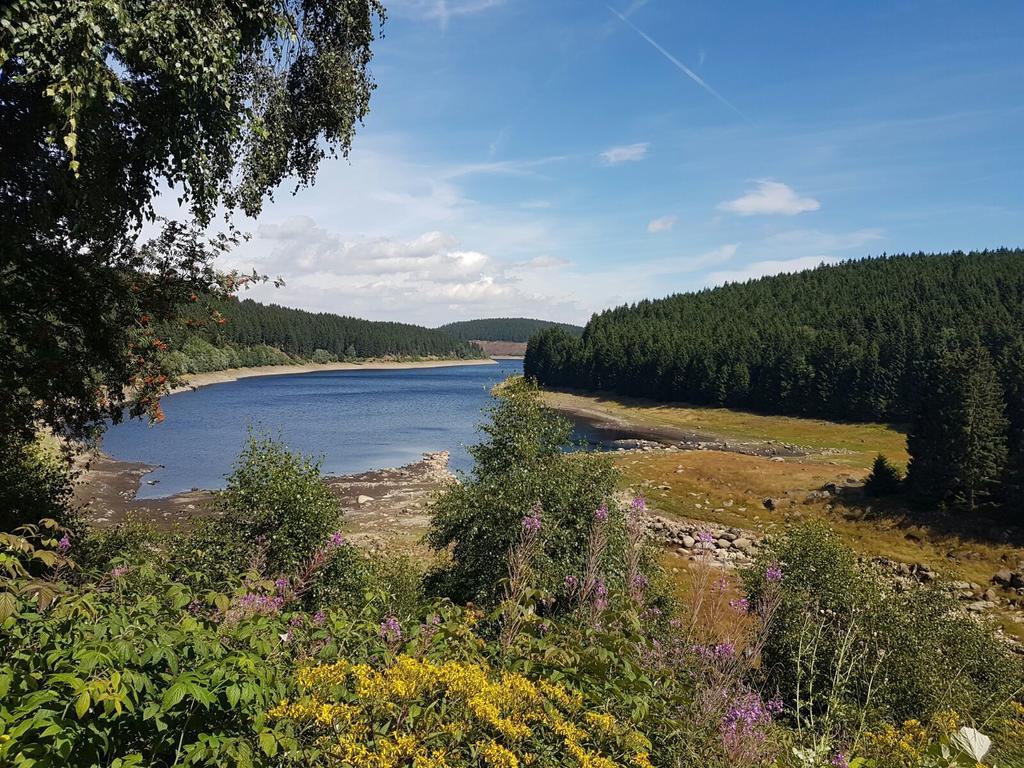 فندق سانكت اندرياسبرغفي  The Cabin - Harz National Park المظهر الخارجي الصورة